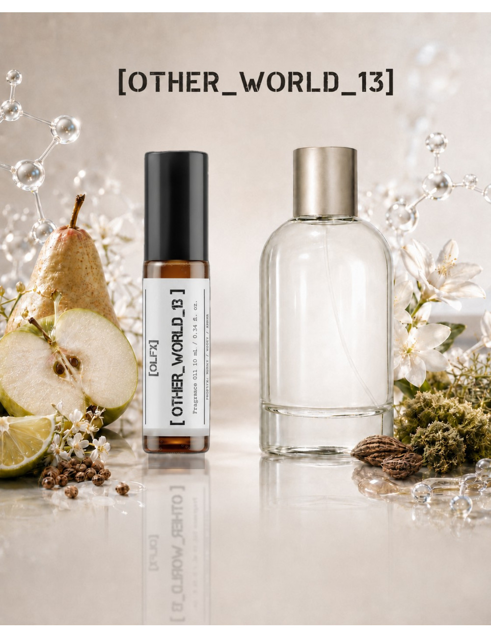 OLFx Store OTHER WORLD