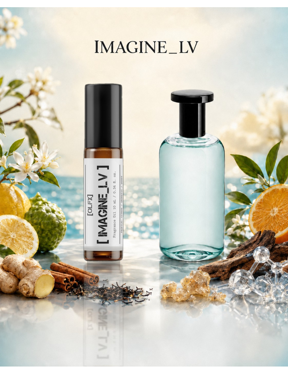 OLFx Store IMAGINE