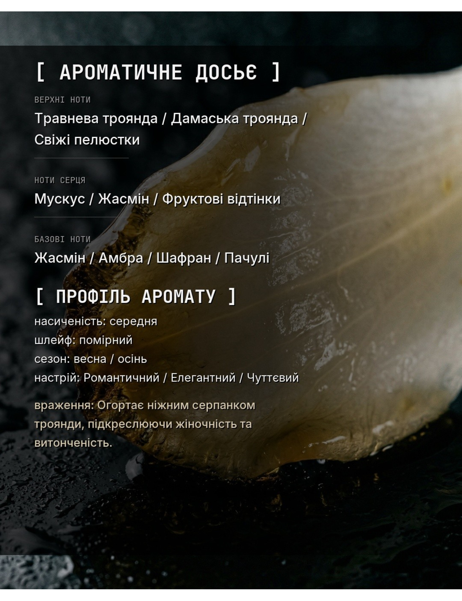 Aromatic Dossier
