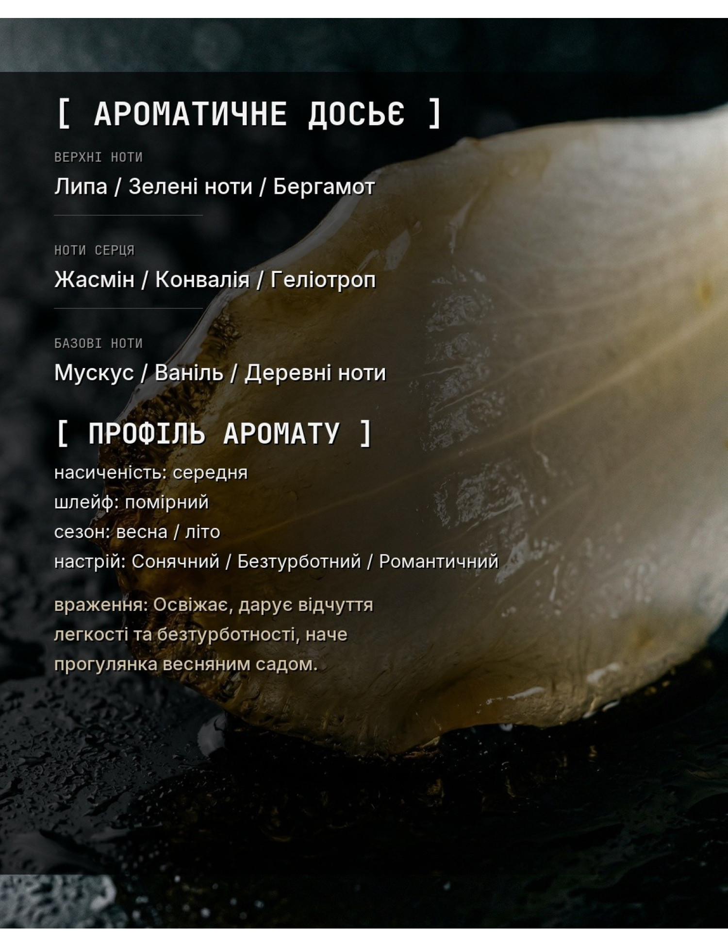 Aromatic Dossier