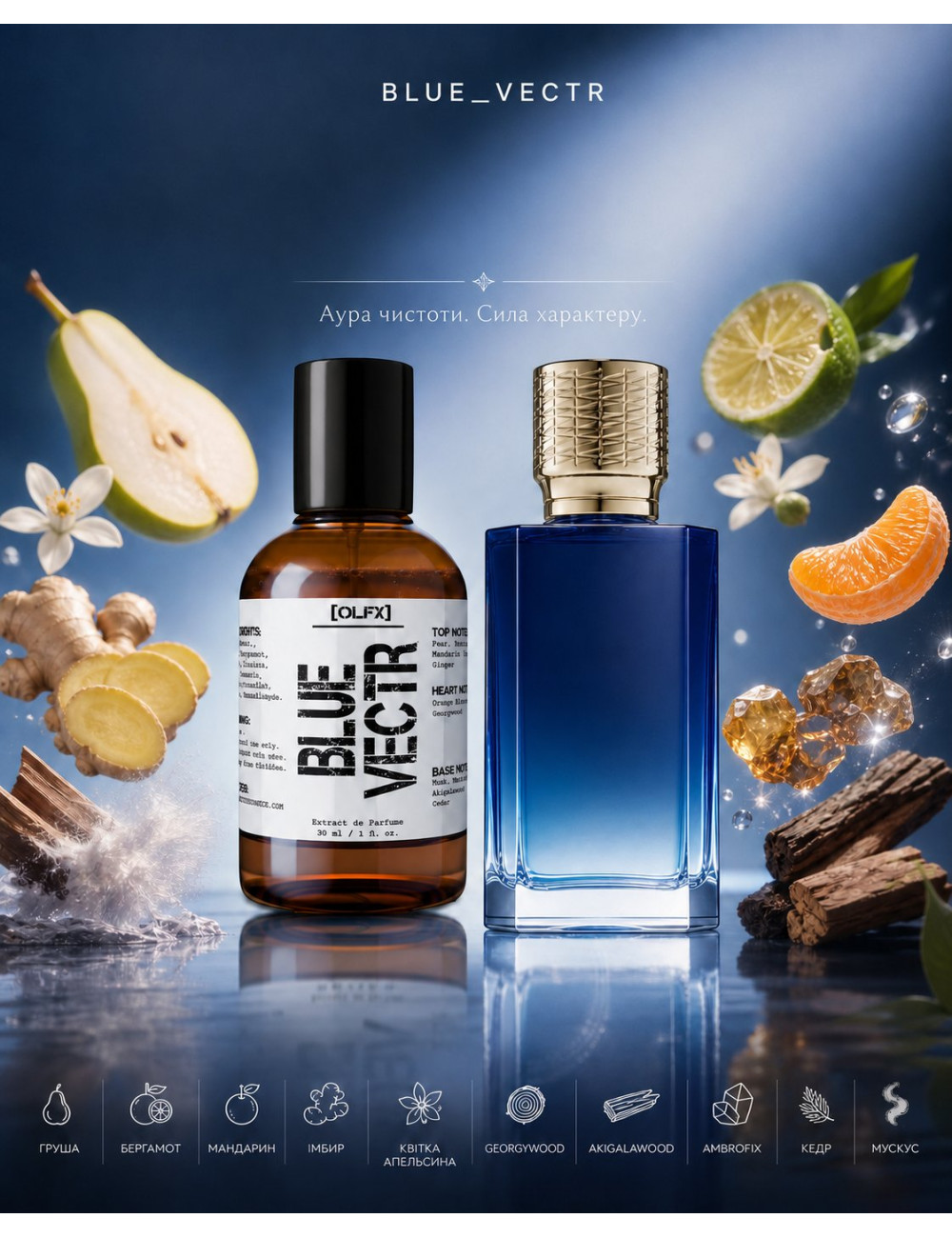 OLFx Store BLUE VECTR