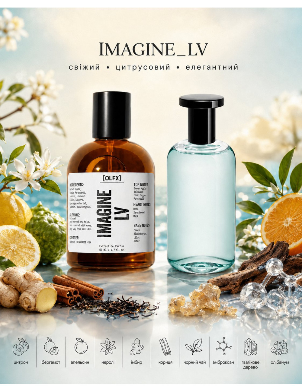 OLFx Niche IMAGINE
